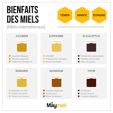 Bienfaits De 6 Miels Internationaux Yemen Maroc Et Espagne Miel Bienfaits Miel La Sante Dans L Assiette