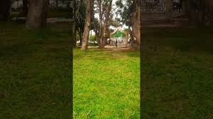 We have never before seen footage courtesy of newly launched magazine the tattler. Beautiful Muliro Garden Kakamega Youtube