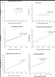 Image result for Musanga leo-errerae