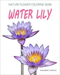All you need is photoshop (or similar), a good photo, and a couple of minutes. Amazon Com Water Lily Nature Flower Coloring Book Vol 9 Flowers Landscapes Coloring Books For Grown Ups Volume 9 9781537362946 Thomson Alexander Books