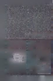 Image result for Cordia torrei