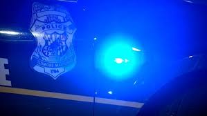 Image result for anglický setr lawerak