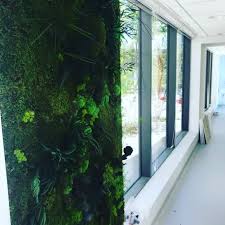 Dr Clemence Savoldi Chirurgien Dentiste A Nancy Prenez Rdv En Ligne