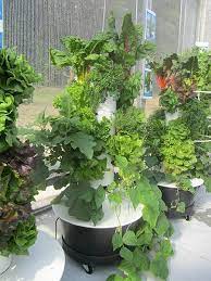 Juice Plus Juice Plus Official Homepage Juice Plus Tower Garden Tower Garden Urban Garden