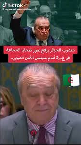 Vidéos de Adam Madrid (@adam.madrid22) avec الصوت الأصلي