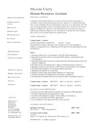 free cv template word forms fillable
