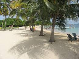 Cayo sombrero, morrocoy ft @oscar alejandro. Cayo Sombrero Picture Of Chichiriviche Morrocoy National Park Tripadvisor