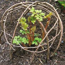 30 Garden Projects Using Sticks Twigs Cottagegarden Workoutclothingwomen S Garden Projects Diy Garden Projects Branches Diy