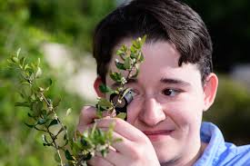 Robin Marquez Transfer Success Story