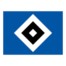 오늘날씨눈 / ê¸�ì •ì �ì�¸ ì‚¬ê³ ë°©ì‹� ë„œì¨ëˆˆ ë¯¸ì¹œ. Hsv Bilder W Auswartsspiel In Bremen Am 17 02 07