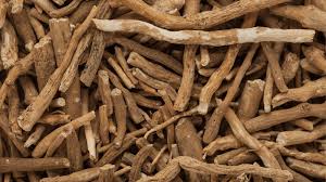 The root and berry are used to make medicine. How To Take Ashwagandha Best Time To Take Ashwagandha