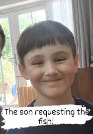 General thoughts please as I'm reading and been told very different things.  We have an 80l tank internal fluval u4 filter. Son would like a fancy gold  fish. I havent had them