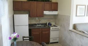 Outstanding Efficiency Kitchen Design Images Decoration Inspiration Small Apartment Kitchen Apartment Kitchen Kitchen Layout