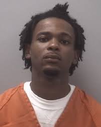 Lexington County Mug Shots: July 29, 2013