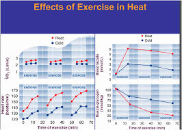 Pin By Antonio Osorio On Nutrition Metabolism Exercise