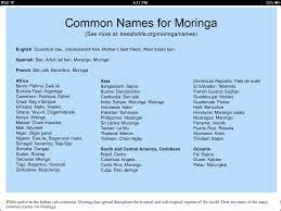 Common Names Of Moringa Oleifera Fun Health Facts Moringa Tree Moringa