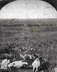 Massacre at little bighorn stock photos and images. This Photo Was Most Likely Taken On July 7 1877 One Year And 12 Days After The Battle It Is The Earliest K Battle Of Little Bighorn American History History
