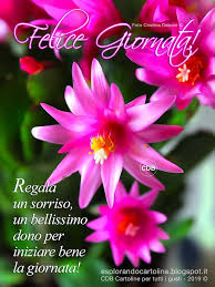 Immagini e video gratis che puoi usare ovunque. Cartolina Buongiorno Con Un Fiore Per Colorare Di Gioia La Tua Giornata Con Immagine Di Un Bellissimo Fiore Rosa Da Scaricare Gratis Artofit