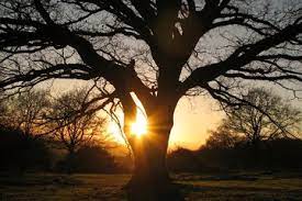 Hd image and large resolution. Explore Over 300 000 Free Stock Photos And Royalty Free Images Freeimages Com