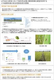 産地に応じて抵抗性品種と薬剤防除を適宜利用するイネ縞葉枯病の総合防除技術の開発 農林水産技術会議