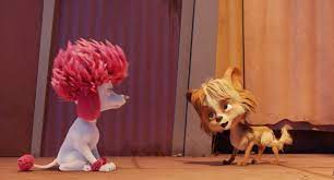 Descargar 100 Lobo 2020 Hd 720p Latino 1 Link Mega Mkv