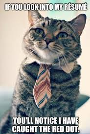 He Has An Advanced Skill Set Funny Animal Memes Silly Animals Cute Animals