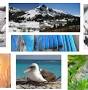 Profile Picture of The Breuner Labon Google