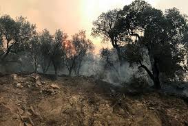 Jun 24, 2021 · وشهدت الجزائر خلال فترة حكومة عبد العزيز جراد عدة أزمات وحوادث، أكبرها حرائق الغابات العام الماضي التي امتدت من غرب إلى شرق الجزائر وأتت على آلاف الهكتارات من الغابات، وكذا ندرة السيولة. Xdstngbe7rmmwm