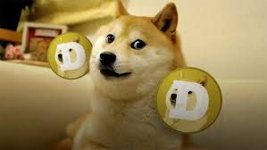 Make your own images with our meme generator or animated gif maker. Dogecoin Challenge Know Your Meme