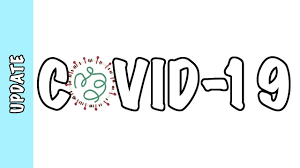 Covid 19 Sars Coronavirus 2 Timeline Pathophysiology Ards Coronavirus Life Cycle Treatment Youtube
