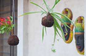 Maybe you would like to learn more about one of these? Design Decor Disha An Indian Design Decor Blog Kokedama Japanese Art Of Growing Plants On A Moss Ball