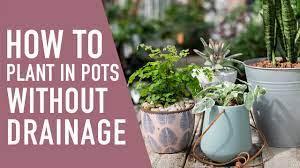 We did not find results for: Planting In Pots Without Drainage West Coast Gardens Youtube