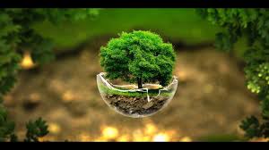 Whether it is your smartp. Free Hd Wallpapers Wallpapers Nature 1920x1080 Group 86