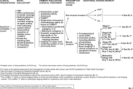 The medical name for this is haematuria and it's usually painless. Bladder Cancer Version 3 2020 Nccn Clinical Practice Guidelines In Oncology In Journal Of The National Comprehensive Cancer Network Volume 18 Issue 3 2020