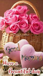 Good Morning Flowers Images Flower Good Morning Status Good Morning Flowers Quotes Good Morning Flowers Good Morning Roses