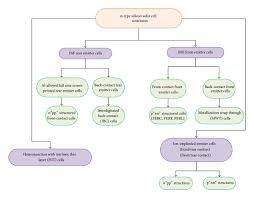 The Flow Chart Of The Possible Cell Structures Using N Type