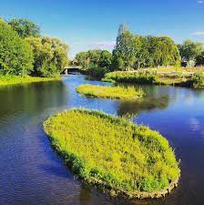 Die Inseln In Der Bocholter Aa Sind Inzwischen Schon Grun Kubaai Bocholt Bocholtbaut Galabau Gruen Lands Gartenbau Landschaftsplanung Garten