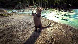 Its a shame really cuz it usually has the higher lvl spawned wyverns so if u ever find that. Ark Survival Evolved On Twitter It Ll Resolve The Invisible Wyvern Issue A Lot Of You Are Experience More