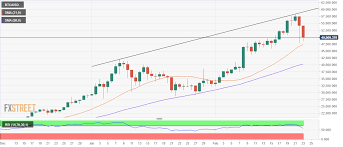 Btc bulls pierce immediate hurdle to $52,650. Bitcoin Price Analysis Btc Usd Stages A Quick Bounce Above 50 000 After The 11 Sell Off