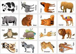 Wild Animal Flash Cards Printable Wildanimals Wild Animal Flash Cards Printable Animal Flashcards Animal Pictures For Kids Printable Animal Pictures