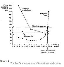 Thank you for reading this guide to analyzing and calculating profitability ratios. Short Run Supply