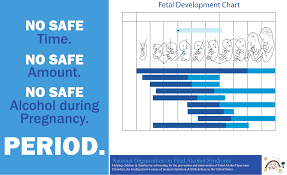 Download Fetal Development Chart For Free Tidytemplates