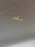 Moth Larvae Hanging From Ceiling