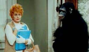 Lucy And The Monkey I Love Lucy Love Lucy Lucy