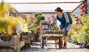 (86) 4.2 out of 5 stars. Garden Centres Are Garden Centres Still Open Express Co Uk