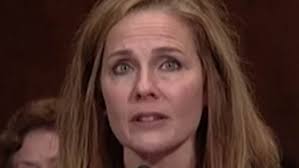 Amy Coney Barrett thanks her husband and calls their seven children her  'greatest joy'