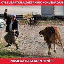 Sosyal Okuz Google Mizah Komik Komik Capsler