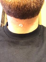 Also known as the laryngeal prominence, the adam's apple sits right on top of the thyroid gland, so the area is fittingly called the thyroid cartilage. Cutting Your Adam S Apple While Shaving Mildlyinfuriating