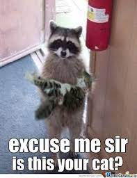 Sep 17, 2016 · memes should be relatable, with universally uplifting themes. Polite Memes Memes Polite Memes Funny Sarcastic Mean Memes At Relatably Com