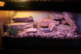 Natural Desert Vivarium Lighting Dendroboard Leopard Gecko Gecko Terrarium Leopard Gecko Terrarium